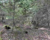 Lots 92 and 93 Gondola Court, Davis, West Virginia 26260, ,Lots/land,For Sale,Gondola,10165112