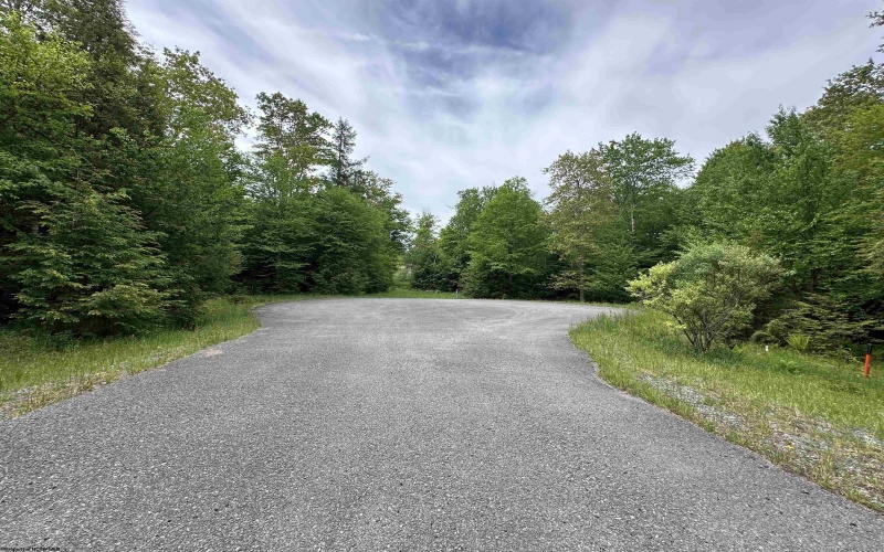 Lots 92 and 93 Gondola Court, Davis, West Virginia 26260, ,Lots/land,For Sale,Gondola,10165112