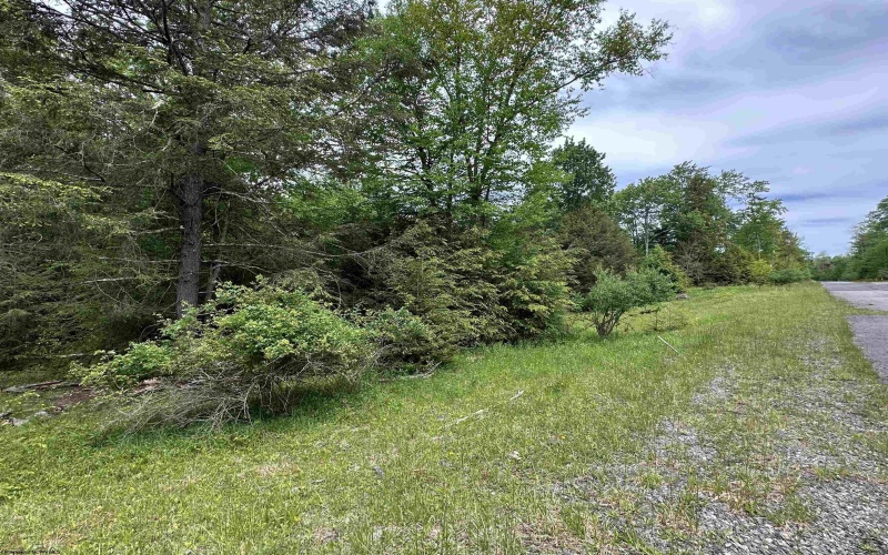 Lots 92 and 93 Gondola Court, Davis, West Virginia 26260, ,Lots/land,For Sale,Gondola,10165112