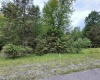 Lots 92 and 93 Gondola Court, Davis, West Virginia 26260, ,Lots/land,For Sale,Gondola,10165112
