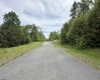 Lots 92 and 93 Gondola Court, Davis, West Virginia 26260, ,Lots/land,For Sale,Gondola,10165112