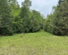 Lots 92 and 93 Gondola Court, Davis, West Virginia 26260, ,Lots/land,For Sale,Gondola,10165112