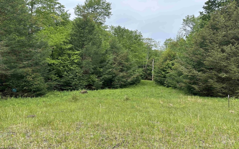 Lots 92 and 93 Gondola Court, Davis, West Virginia 26260, ,Lots/land,For Sale,Gondola,10165112