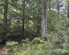 Lots 92 and 93 Gondola Court, Davis, West Virginia 26260, ,Lots/land,For Sale,Gondola,10165112