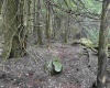 Lots 92 and 93 Gondola Court, Davis, West Virginia 26260, ,Lots/land,For Sale,Gondola,10165112