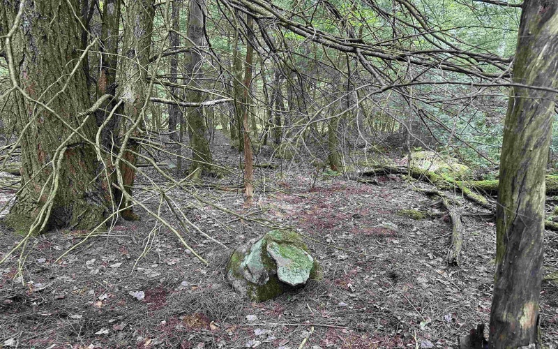 Lots 92 and 93 Gondola Court, Davis, West Virginia 26260, ,Lots/land,For Sale,Gondola,10165112