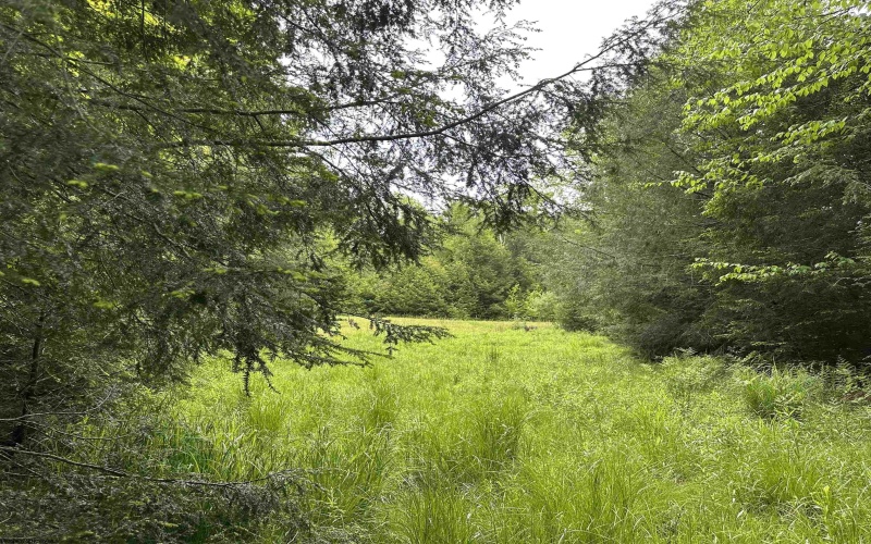 Lots 92 and 93 Gondola Court, Davis, West Virginia 26260, ,Lots/land,For Sale,Gondola,10165112