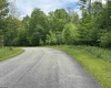 Lot 7 Tuscan Ridge Road, Davis, West Virginia 26260, ,Lots/land,For Sale,Tuscan Ridge,10165115