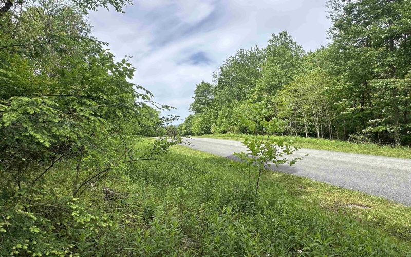 Lot 7 Tuscan Ridge Road, Davis, West Virginia 26260, ,Lots/land,For Sale,Tuscan Ridge,10165115
