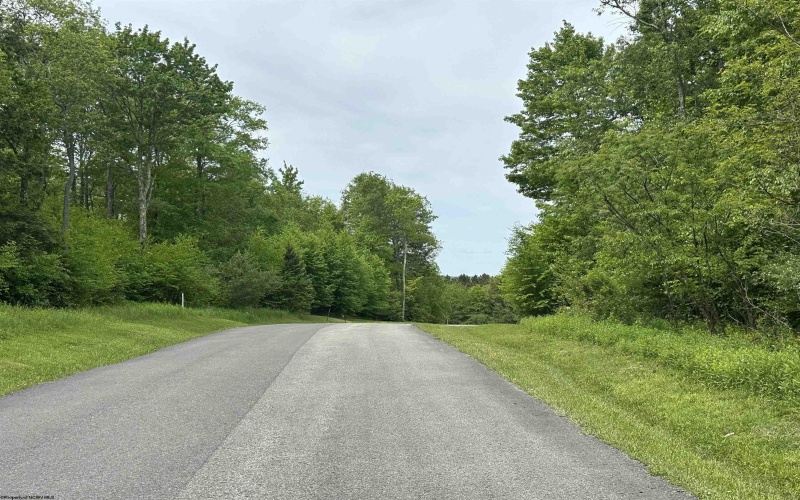 Lot 7 Tuscan Ridge Road, Davis, West Virginia 26260, ,Lots/land,For Sale,Tuscan Ridge,10165115