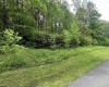 Lot 7 Tuscan Ridge Road, Davis, West Virginia 26260, ,Lots/land,For Sale,Tuscan Ridge,10165115