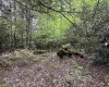 Lot 7 Tuscan Ridge Road, Davis, West Virginia 26260, ,Lots/land,For Sale,Tuscan Ridge,10165115