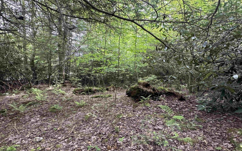 Lot 7 Tuscan Ridge Road, Davis, West Virginia 26260, ,Lots/land,For Sale,Tuscan Ridge,10165115