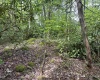 Lot 7 Tuscan Ridge Road, Davis, West Virginia 26260, ,Lots/land,For Sale,Tuscan Ridge,10165115
