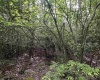 Lot 7 Tuscan Ridge Road, Davis, West Virginia 26260, ,Lots/land,For Sale,Tuscan Ridge,10165115