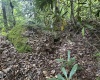 Lot 7 Tuscan Ridge Road, Davis, West Virginia 26260, ,Lots/land,For Sale,Tuscan Ridge,10165115