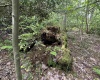 Lot 7 Tuscan Ridge Road, Davis, West Virginia 26260, ,Lots/land,For Sale,Tuscan Ridge,10165115