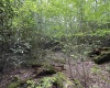 Lot 7 Tuscan Ridge Road, Davis, West Virginia 26260, ,Lots/land,For Sale,Tuscan Ridge,10165115
