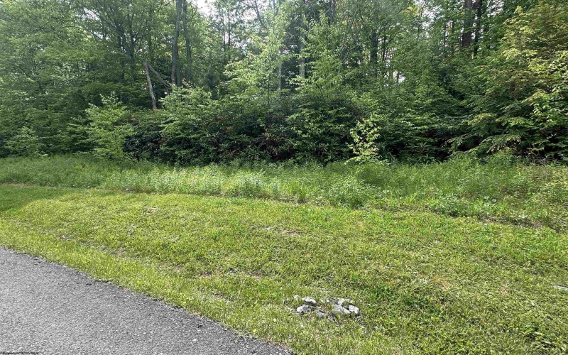 Lot 7 Tuscan Ridge Road, Davis, West Virginia 26260, ,Lots/land,For Sale,Tuscan Ridge,10165115