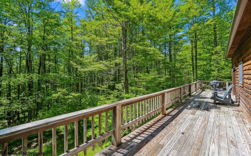40 Steep Slope Run, Davis, West Virginia 26260, 2 Bedrooms Bedrooms, 5 Rooms Rooms,3 BathroomsBathrooms,Single Family Detached,For Sale,Steep Slope,10165125