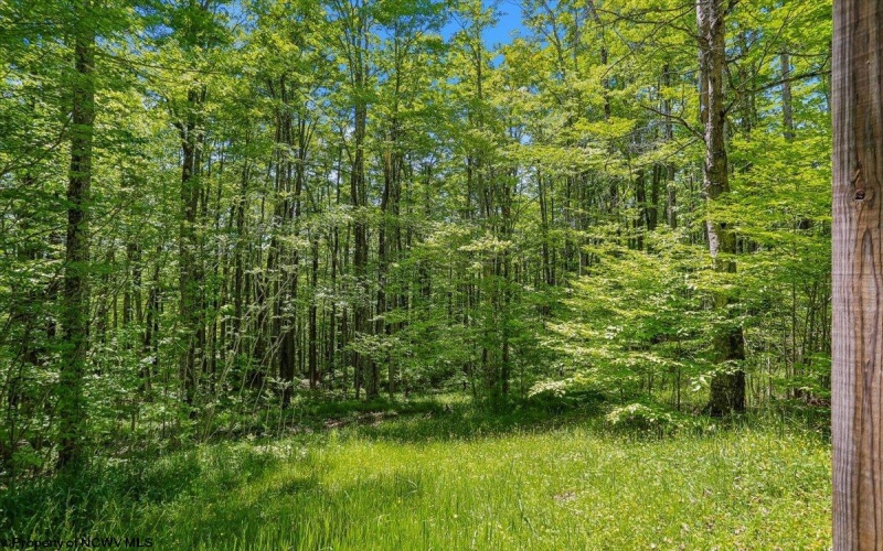 40 Steep Slope Run, Davis, West Virginia 26260, 2 Bedrooms Bedrooms, 5 Rooms Rooms,3 BathroomsBathrooms,Single Family Detached,For Sale,Steep Slope,10165125