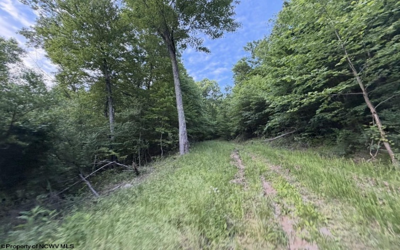 2309 Sassafras Road, Weston, West Virginia 26452, 3 Bedrooms Bedrooms, 7 Rooms Rooms,2 BathroomsBathrooms,Single Family Detached,For Sale,Sassafras,10165146 2309 Sassafras Road, Weston, West Virginia 26452, 3 Bedrooms Bedrooms, 7 Rooms Rooms,2 BathroomsBathrooms,Single Family Detached,For Sale,Sassafras,10165146