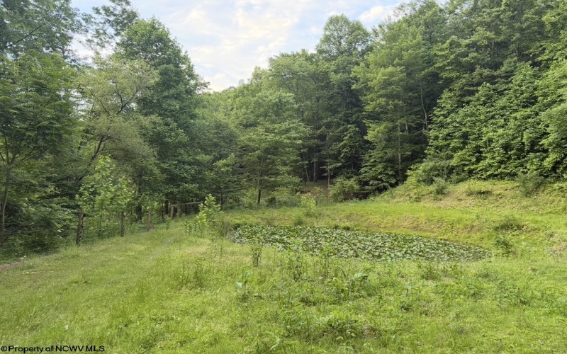 2309 Sassafras Road, Weston, West Virginia 26452, 3 Bedrooms Bedrooms, 7 Rooms Rooms,2 BathroomsBathrooms,Single Family Detached,For Sale,Sassafras,10165146 2309 Sassafras Road, Weston, West Virginia 26452, 3 Bedrooms Bedrooms, 7 Rooms Rooms,2 BathroomsBathrooms,Single Family Detached,For Sale,Sassafras,10165146