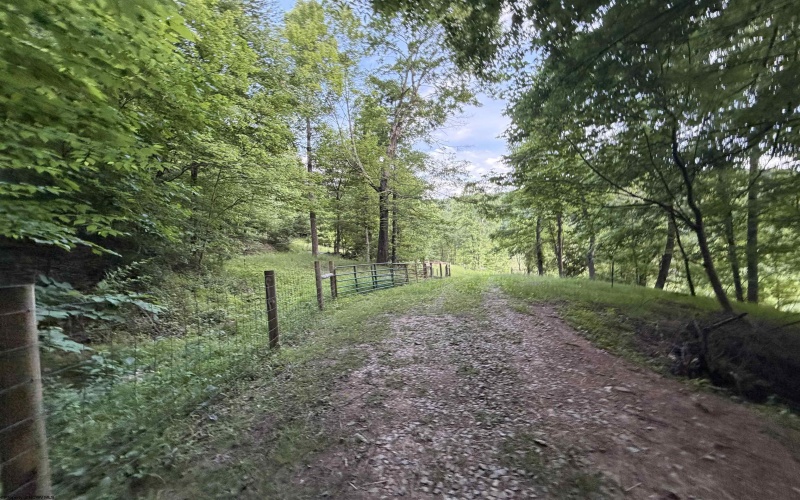 2309 Sassafras Road, Weston, West Virginia 26452, 3 Bedrooms Bedrooms, 7 Rooms Rooms,2 BathroomsBathrooms,Single Family Detached,For Sale,Sassafras,10165146 2309 Sassafras Road, Weston, West Virginia 26452, 3 Bedrooms Bedrooms, 7 Rooms Rooms,2 BathroomsBathrooms,Single Family Detached,For Sale,Sassafras,10165146