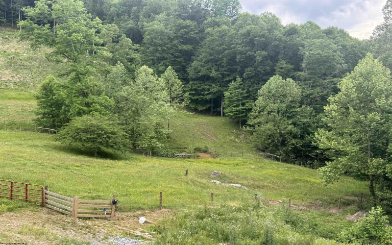 2309 Sassafras Road, Weston, West Virginia 26452, 3 Bedrooms Bedrooms, 7 Rooms Rooms,2 BathroomsBathrooms,Single Family Detached,For Sale,Sassafras,10165146 2309 Sassafras Road, Weston, West Virginia 26452, 3 Bedrooms Bedrooms, 7 Rooms Rooms,2 BathroomsBathrooms,Single Family Detached,For Sale,Sassafras,10165146