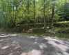1050 McGee Lane, Volga, West Virginia 26238, ,Lots/land,For Sale,McGee,10165147
