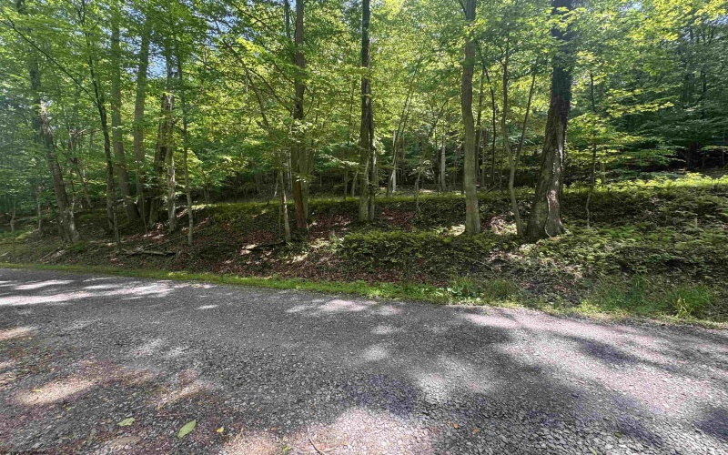 1050 McGee Lane, Volga, West Virginia 26238, ,Lots/land,For Sale,McGee,10165147