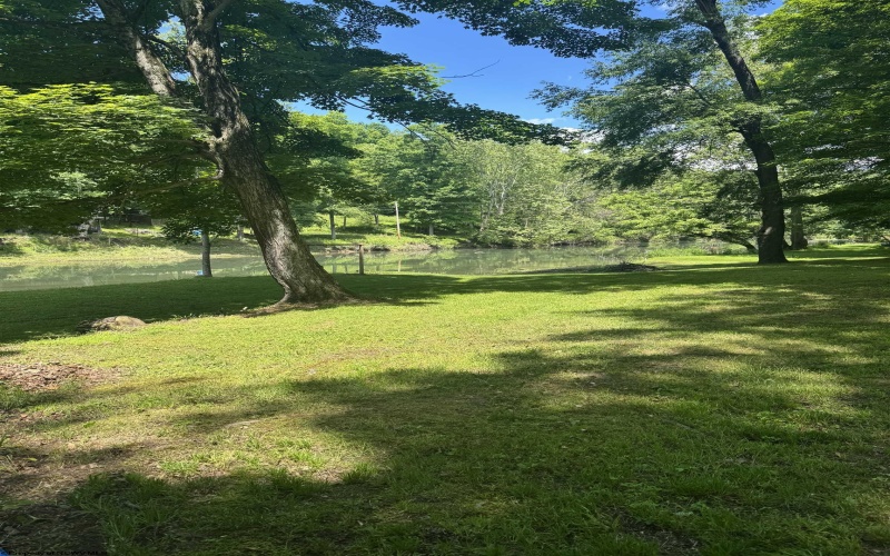 1050 McGee Lane, Volga, West Virginia 26238, ,Lots/land,For Sale,McGee,10165147