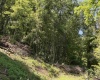 TBD Sandy Drive, Grafton, West Virginia 26354, ,Lots/land,For Sale,Sandy,10165137 TBD Sandy Drive, Grafton, West Virginia 26354, ,Lots/land,For Sale,Sandy,10165137