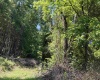 TBD Sandy Drive, Grafton, West Virginia 26354, ,Lots/land,For Sale,Sandy,10165137 TBD Sandy Drive, Grafton, West Virginia 26354, ,Lots/land,For Sale,Sandy,10165137