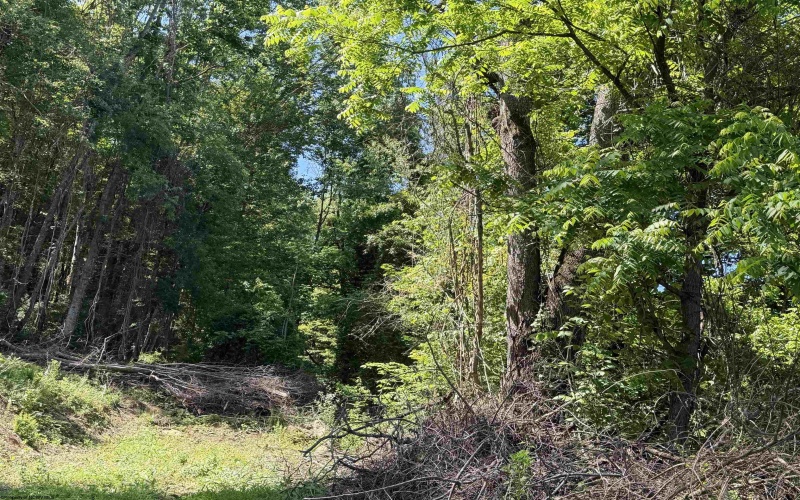 TBD Sandy Drive, Grafton, West Virginia 26354, ,Lots/land,For Sale,Sandy,10165137 TBD Sandy Drive, Grafton, West Virginia 26354, ,Lots/land,For Sale,Sandy,10165137