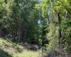 TBD Sandy Drive, Grafton, West Virginia 26354, ,Lots/land,For Sale,Sandy,10165137 TBD Sandy Drive, Grafton, West Virginia 26354, ,Lots/land,For Sale,Sandy,10165137