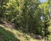 TBD Sandy Drive, Grafton, West Virginia 26354, ,Lots/land,For Sale,Sandy,10165137 TBD Sandy Drive, Grafton, West Virginia 26354, ,Lots/land,For Sale,Sandy,10165137