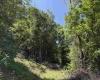 TBD Sandy Drive, Grafton, West Virginia 26354, ,Lots/land,For Sale,Sandy,10165137 TBD Sandy Drive, Grafton, West Virginia 26354, ,Lots/land,For Sale,Sandy,10165137