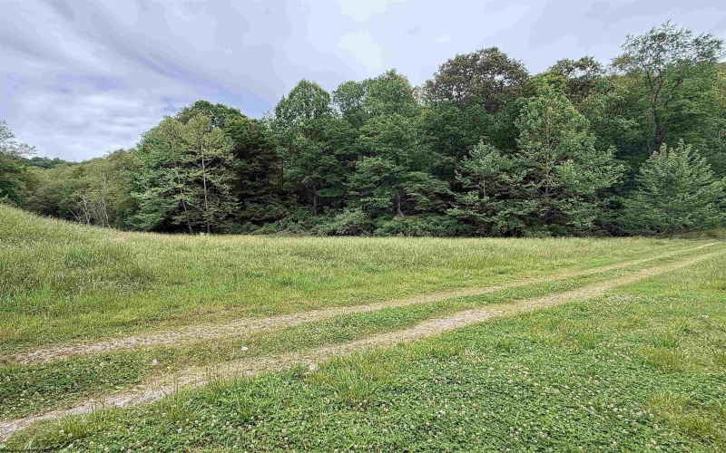 973 Bonnett Hollow, Glenville, West Virginia 26351, 3 Bedrooms Bedrooms, 10 Rooms Rooms,2 BathroomsBathrooms,Single Family Detached,For Sale,Bonnett,10165148 973 Bonnett Hollow, Glenville, West Virginia 26351, 3 Bedrooms Bedrooms, 10 Rooms Rooms,2 BathroomsBathrooms,Single Family Detached,For Sale,Bonnett,10165148
