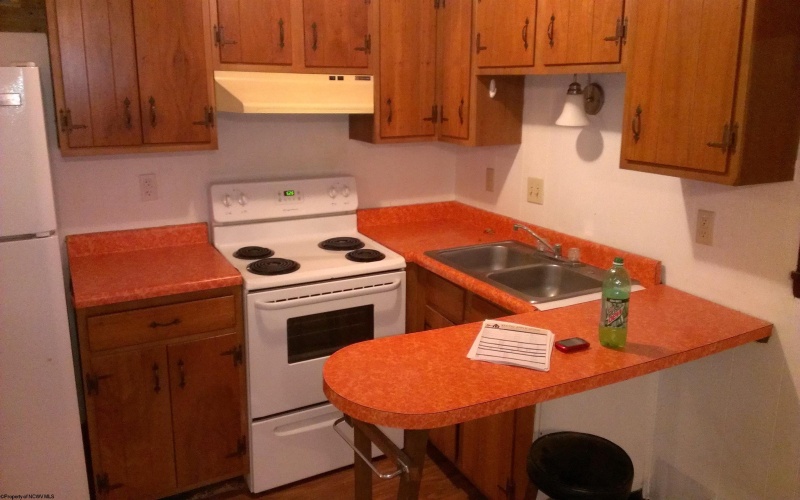 601 & 601 1/2 North Avenue, Elkins, West Virginia 26241, ,Multi-unit/income,For Sale,North,10165164