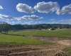 TBD Shaffer's Run Road, Mill Creek, West Virginia 26280, ,Lots/land,For Sale,Shaffer's Run,10165165