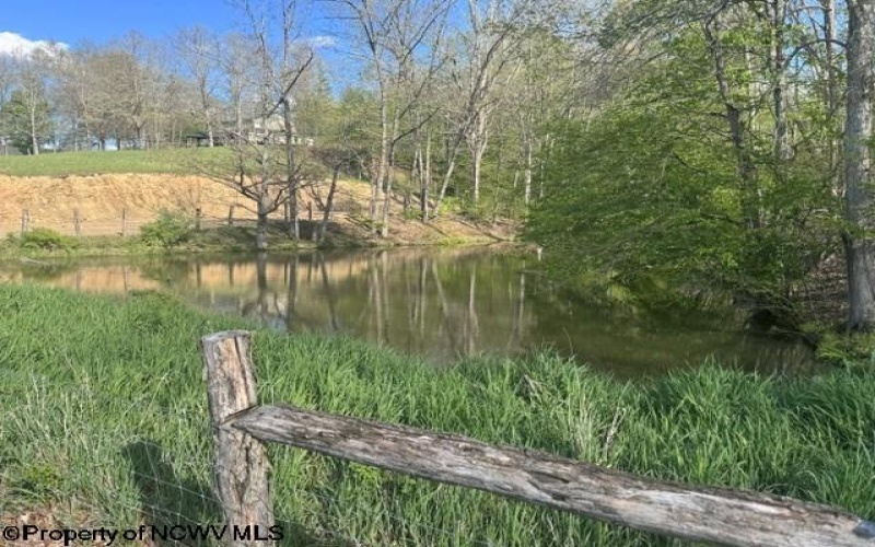 TBD Shaffer's Run Road, Mill Creek, West Virginia 26280, ,Lots/land,For Sale,Shaffer's Run,10165165