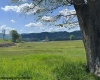 TBD Shaffer's Run Road, Mill Creek, West Virginia 26280, ,Lots/land,For Sale,Shaffer's Run,10165165
