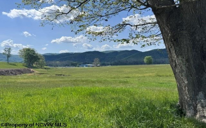 TBD Shaffer's Run Road, Mill Creek, West Virginia 26280, ,Lots/land,For Sale,Shaffer's Run,10165165