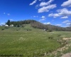 TBD Shaffer's Run Road, Mill Creek, West Virginia 26280, ,Lots/land,For Sale,Shaffer's Run,10165165