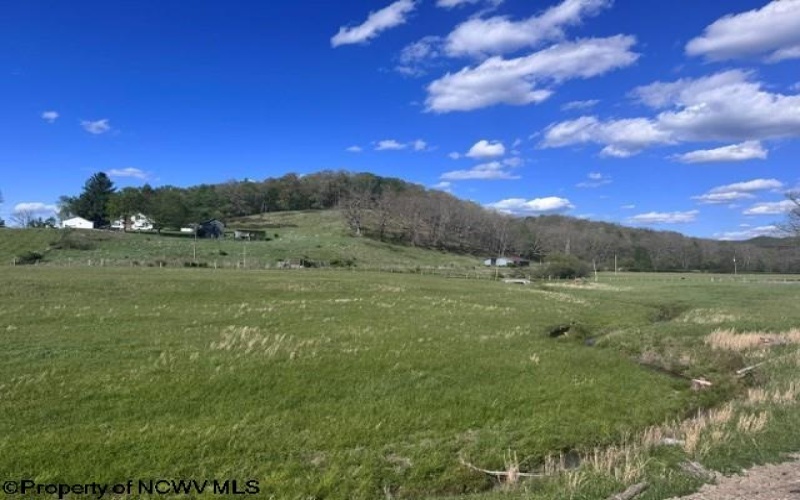 TBD Shaffer's Run Road, Mill Creek, West Virginia 26280, ,Lots/land,For Sale,Shaffer's Run,10165165