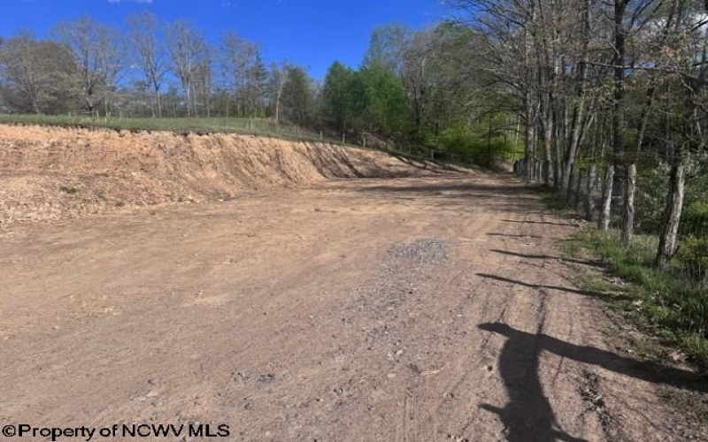 TBD Shaffer's Run Road, Mill Creek, West Virginia 26280, ,Lots/land,For Sale,Shaffer's Run,10165165