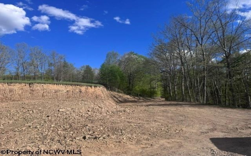 TBD Shaffer's Run Road, Mill Creek, West Virginia 26280, ,Lots/land,For Sale,Shaffer's Run,10165165