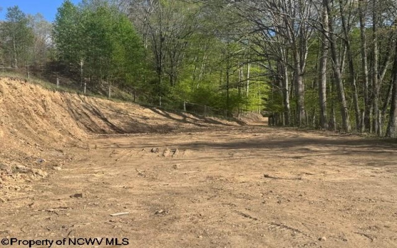 TBD Shaffer's Run Road, Mill Creek, West Virginia 26280, ,Lots/land,For Sale,Shaffer's Run,10165165