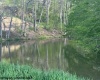 TBD Shaffer's Run Road, Mill Creek, West Virginia 26280, ,Lots/land,For Sale,Shaffer's Run,10165165